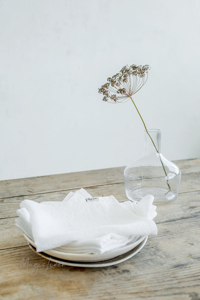 White linen napkin set of 2