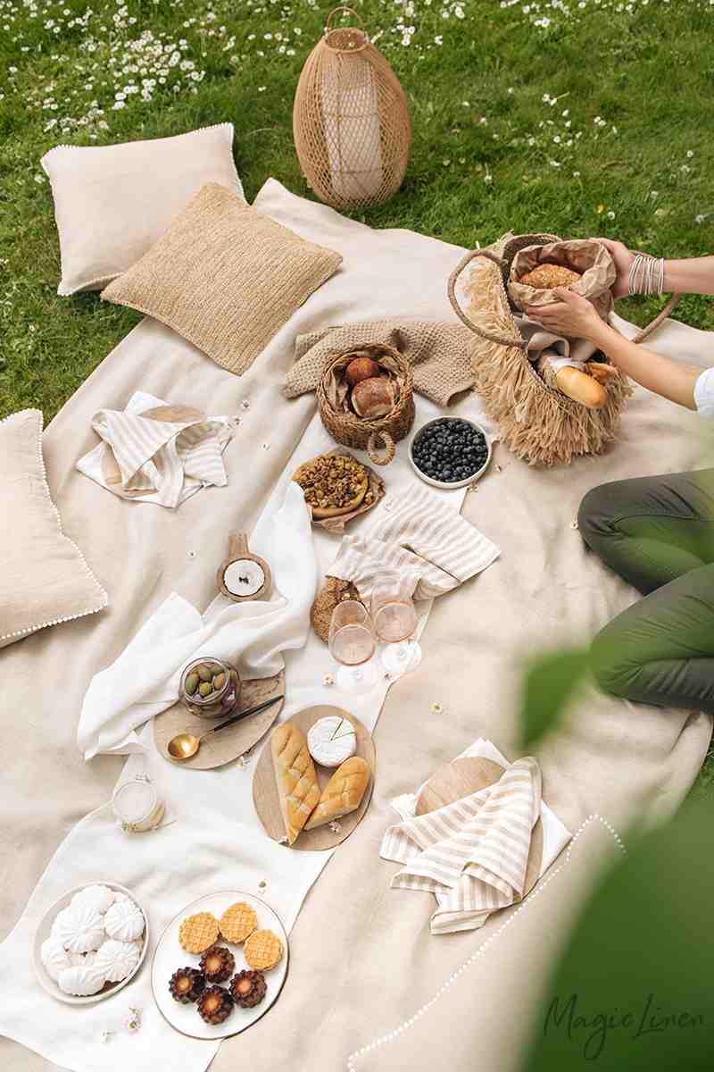 Striped in natural linen napkin set of 2