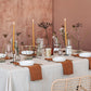Cinnamon linen napkin set of 2